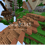 Sebi_Preinessl